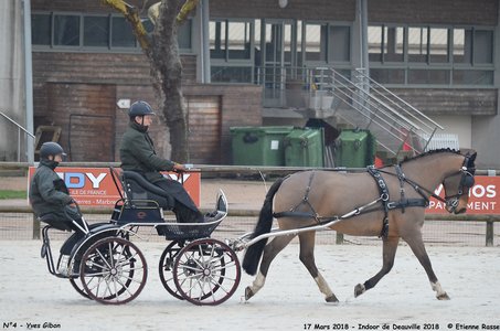 2018-03-17 Indoor de Deauvile-Epreuves du Samedi, 04-DSC_3779