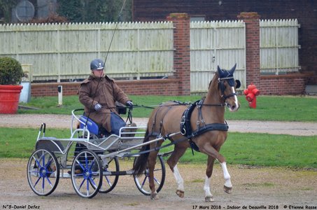 2018-03-17 Indoor de Deauvile-Epreuves du Samedi, 05-DSC_3768
