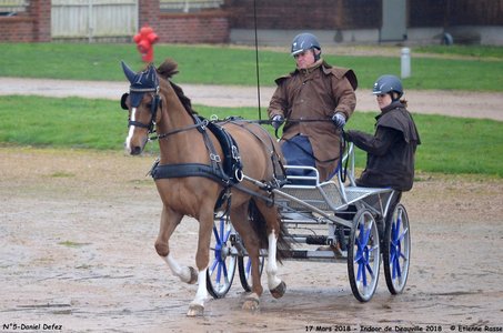 2018-03-17 Indoor de Deauvile-Epreuves du Samedi, 05-DSC_3770