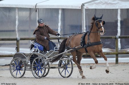 2018-03-17 Indoor de Deauvile-Epreuves du Samedi, 05-DSC_3827