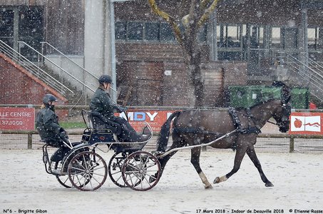 2018-03-17 Indoor de Deauvile-Epreuves du Samedi, 06-DSC_3930