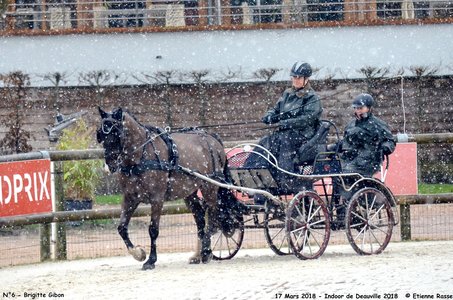 2018-03-17 Indoor de Deauvile-Epreuves du Samedi, 06-DSC_3932