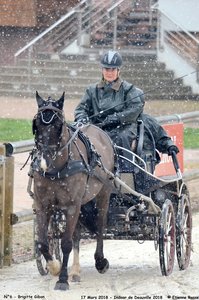 2018-03-17 Indoor de Deauvile-Epreuves du Samedi, 06-DSC_3934