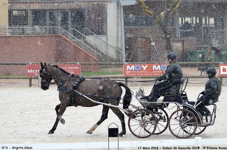 2018-03-17 Indoor de Deauvile-Epreuves du Samedi, 06-DSC_3940