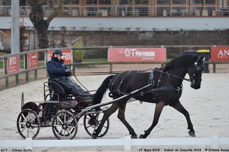 2018-03-17 Indoor de Deauvile-Epreuves du Samedi, 07-DSC_3833