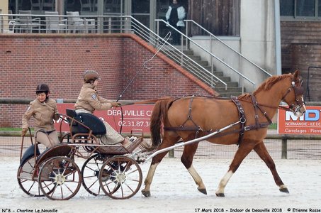 2018-03-17 Indoor de Deauvile-Epreuves du Samedi, 08-DSC_3845