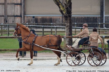 2018-03-17 Indoor de Deauvile-Epreuves du Samedi, 08-DSC_3846