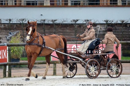 2018-03-17 Indoor de Deauvile-Epreuves du Samedi, 08-DSC_3849