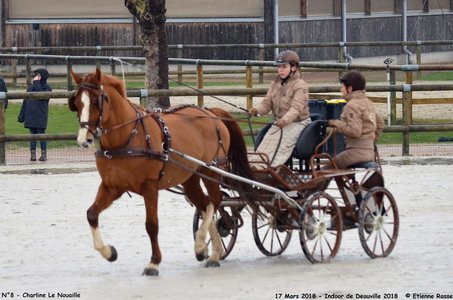 2018-03-17 Indoor de Deauvile-Epreuves du Samedi, 08-DSC_3852