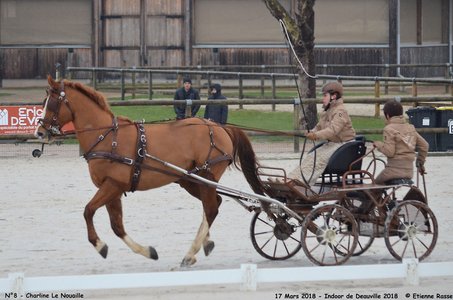 2018-03-17 Indoor de Deauvile-Epreuves du Samedi, 08-DSC_3855