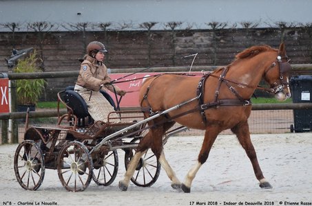 2018-03-17 Indoor de Deauvile-Epreuves du Samedi, 08-DSC_3857