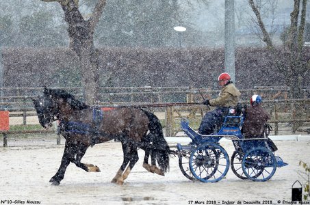 2018-03-17 Indoor de Deauvile-Epreuves du Samedi, 10-DSC_4014