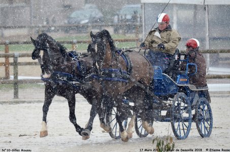 2018-03-17 Indoor de Deauvile-Epreuves du Samedi, 10-DSC_4019