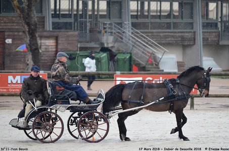 2018-03-17 Indoor de Deauvile-Epreuves du Samedi, 11-DSC_3860