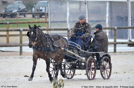 2018-03-17 Indoor de Deauvile-Epreuves du Samedi, 11-DSC_3870