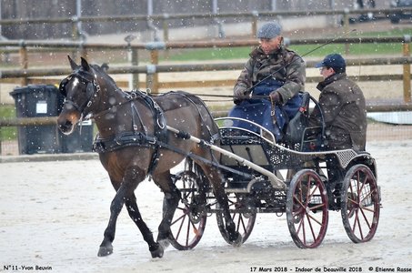2018-03-17 Indoor de Deauvile-Epreuves du Samedi, 11-DSC_3871