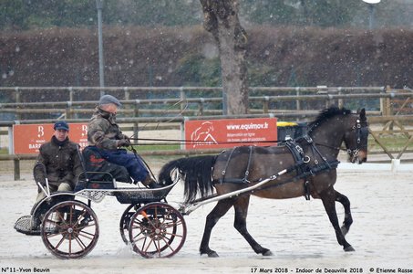 2018-03-17 Indoor de Deauvile-Epreuves du Samedi, 11-DSC_3875