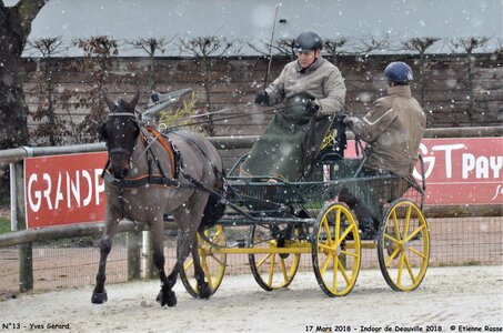2018-03-17 Indoor de Deauvile-Epreuves du Samedi, 13-DSC_3891