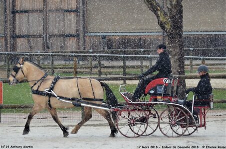 2018-03-17 Indoor de Deauvile-Epreuves du Samedi, 14-DSC_3898