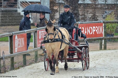 2018-03-17 Indoor de Deauvile-Epreuves du Samedi, 14-DSC_3900