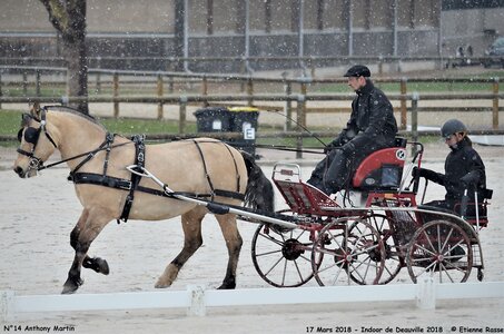 2018-03-17 Indoor de Deauvile-Epreuves du Samedi, 14-DSC_3905