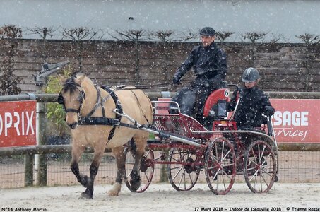 2018-03-17 Indoor de Deauvile-Epreuves du Samedi, 14-DSC_3909