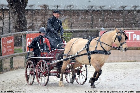 2018-03-17 Indoor de Deauvile-Epreuves du Samedi, 14-DSC_3910