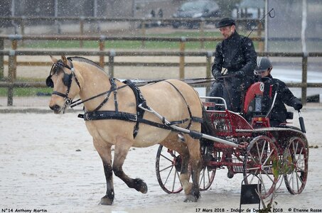 2018-03-17 Indoor de Deauvile-Epreuves du Samedi, 14-DSC_3912