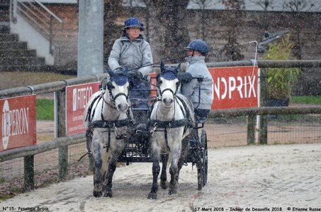2018-03-17 Indoor de Deauvile-Epreuves du Samedi, 15-DSC_3942