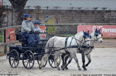 2018-03-17 Indoor de Deauvile-Epreuves du Samedi, 15-DSC_3943