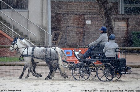 2018-03-17 Indoor de Deauvile-Epreuves du Samedi, 15-DSC_3947