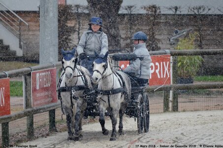 2018-03-17 Indoor de Deauvile-Epreuves du Samedi, 15-DSC_3949
