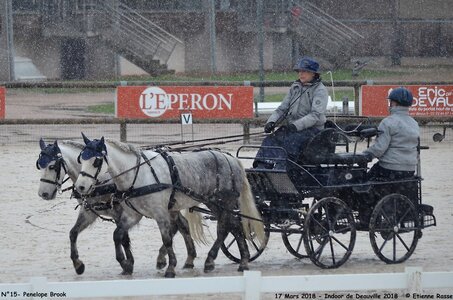 2018-03-17 Indoor de Deauvile-Epreuves du Samedi, 15-DSC_3955