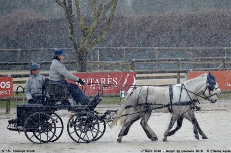 2018-03-17 Indoor de Deauvile-Epreuves du Samedi, 15-DSC_3959