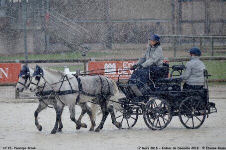 2018-03-17 Indoor de Deauvile-Epreuves du Samedi, 15-DSC_3963
