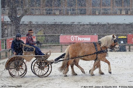 2018-03-17 Indoor de Deauvile-Epreuves du Samedi, 17-DSC_3964