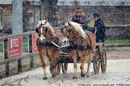 2018-03-17 Indoor de Deauvile-Epreuves du Samedi, 17-DSC_3968