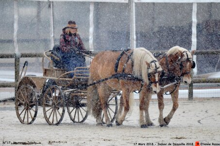 2018-03-17 Indoor de Deauvile-Epreuves du Samedi, 17-DSC_3976