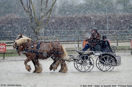 2018-03-17 Indoor de Deauvile-Epreuves du Samedi, 18-DSC_4043