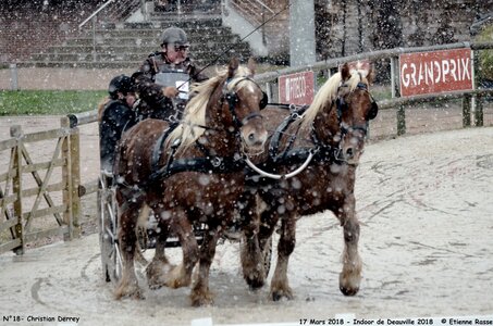 2018-03-17 Indoor de Deauvile-Epreuves du Samedi, 18-DSC_4050