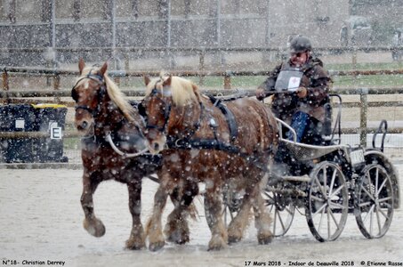 2018-03-17 Indoor de Deauvile-Epreuves du Samedi, 18-DSC_4052