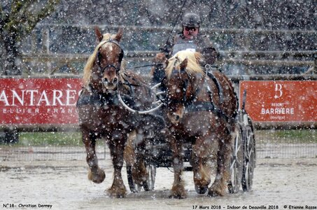 2018-03-17 Indoor de Deauvile-Epreuves du Samedi, 18-DSC_4060
