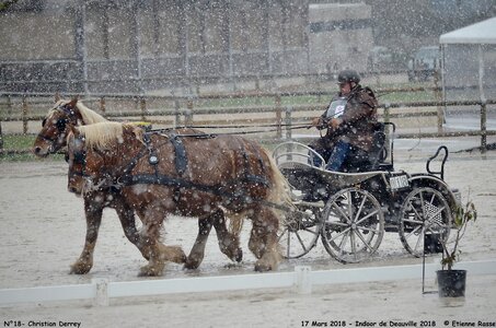 2018-03-17 Indoor de Deauvile-Epreuves du Samedi, 18-DSC_4068