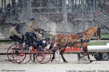 2018-03-17 Indoor de Deauvile-Epreuves du Samedi, 21-DSC_4073