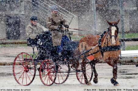 2018-03-17 Indoor de Deauvile-Epreuves du Samedi, 21-DSC_4080