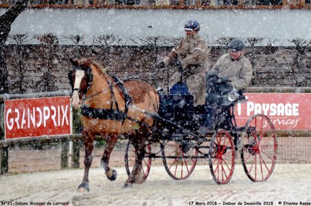 2018-03-17 Indoor de Deauvile-Epreuves du Samedi, 21-DSC_4089