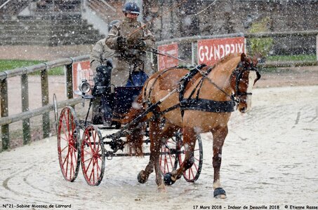 2018-03-17 Indoor de Deauvile-Epreuves du Samedi, 21-DSC_4093