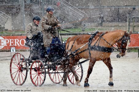 2018-03-17 Indoor de Deauvile-Epreuves du Samedi, 21-DSC_4095