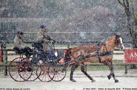 2018-03-17 Indoor de Deauvile-Epreuves du Samedi, 21-DSC_4101
