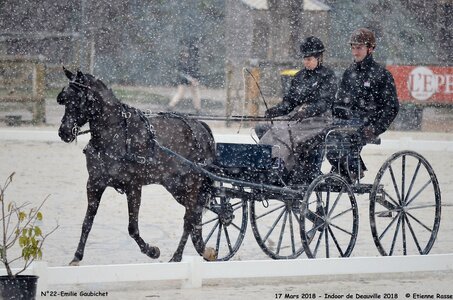 2018-03-17 Indoor de Deauvile-Epreuves du Samedi, 22-DSC_4111